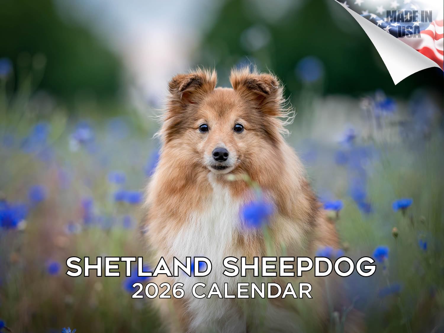 2025 2026 Shetland Sheepdog Calendar - Dog Breed Monthly Wall Calendar - 12" x 18" Open - Thick No-Bleed Paper - Giftable - Academic Teacher's Planner
