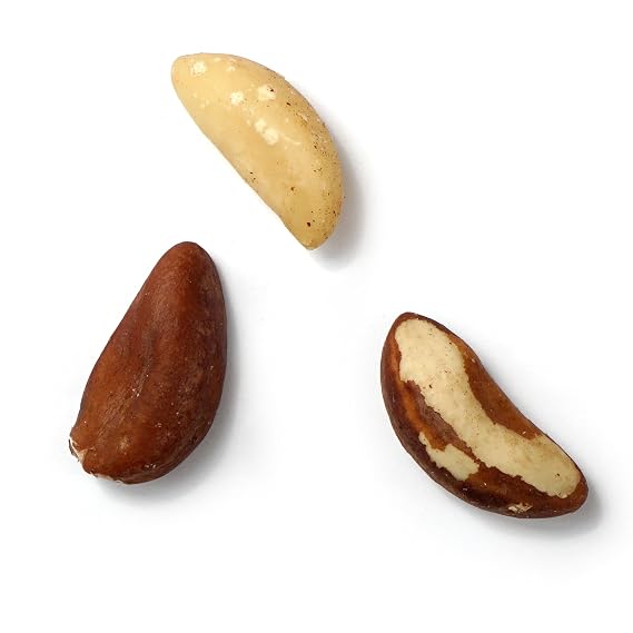 Raw Brazil Nuts, 1 Pound Bag, No Shell, Whole, Hampton Distribution