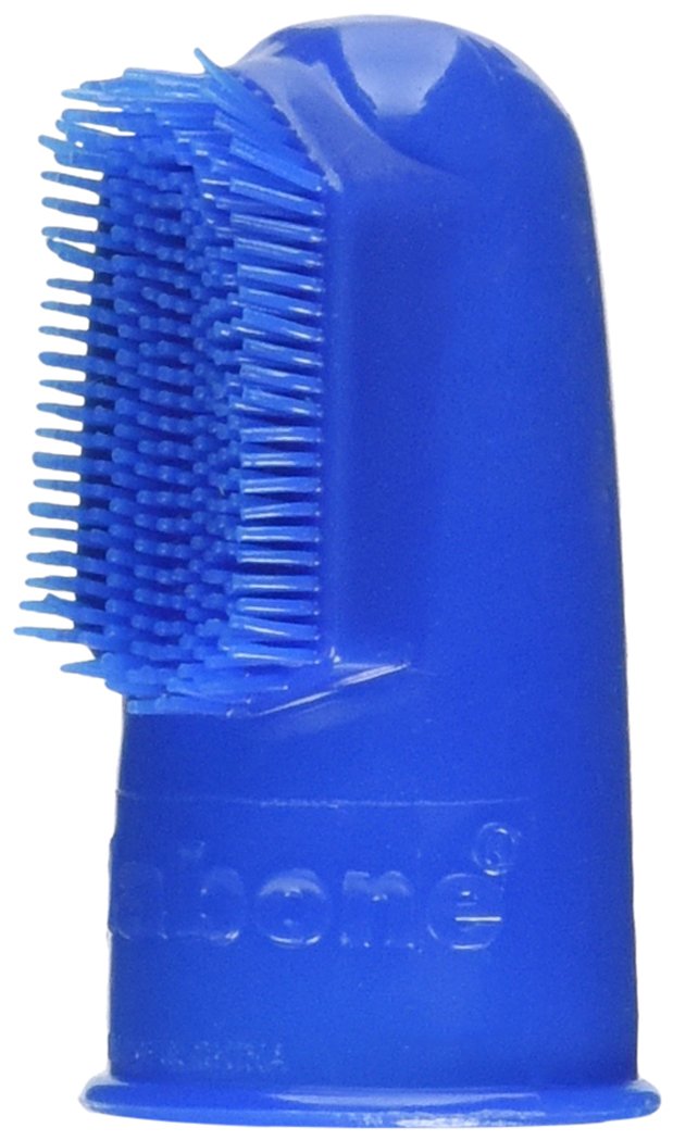 Nylabone Advanced Oral Care Finger Brush for Dog, 2 Count Pet Supplies