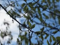 Review Image by Jessica Jessica