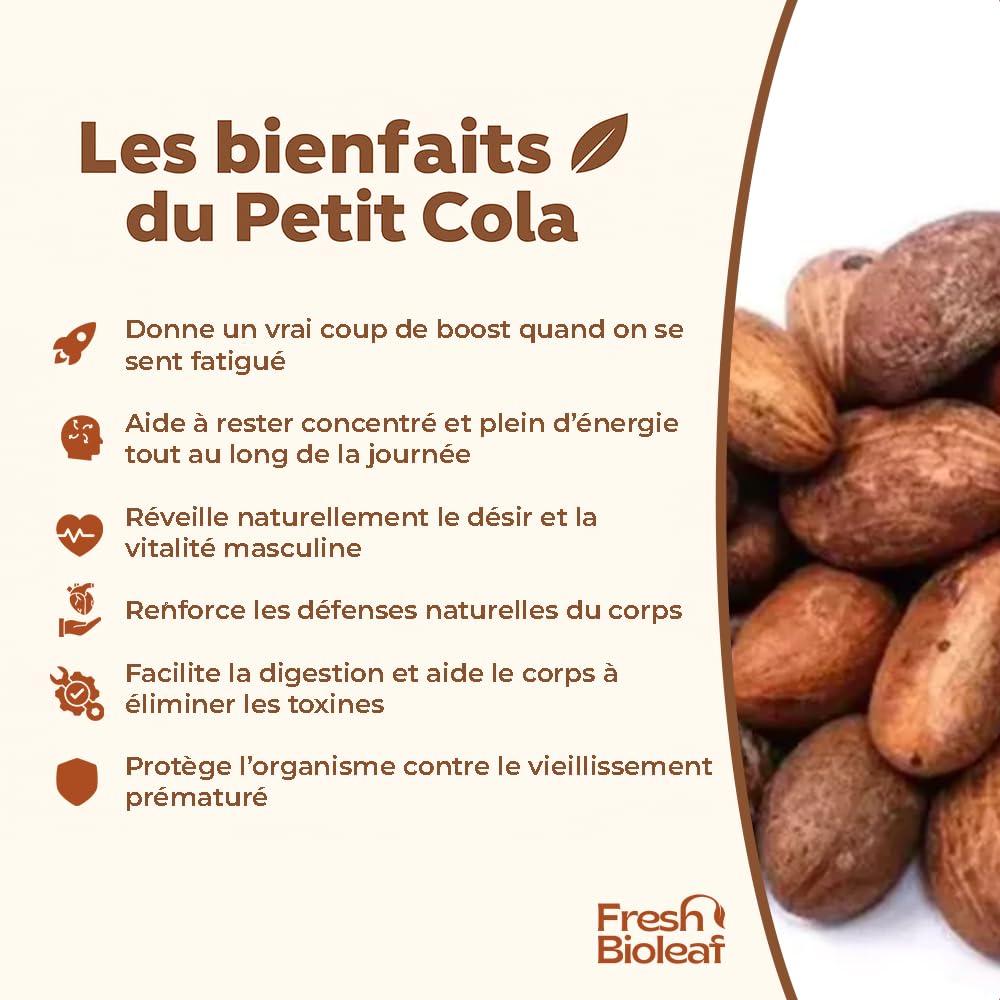 Kleine Cola frisch unter Vakuum – Bitter Kola pur – Garcinia Kola – 100% natürlich – Energie, Vitalität, Verdauung – Herkunft Kongo – Ngadiadia – rein – Premium Qualität (200g)