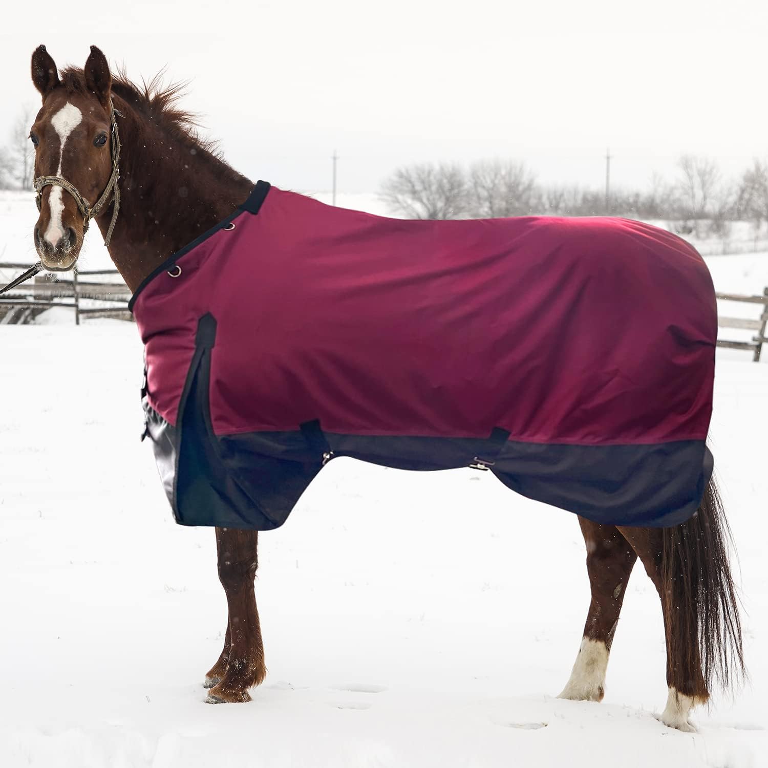 TrustBreech 1200D Waterproof and Breathable Horse Winter Turnout