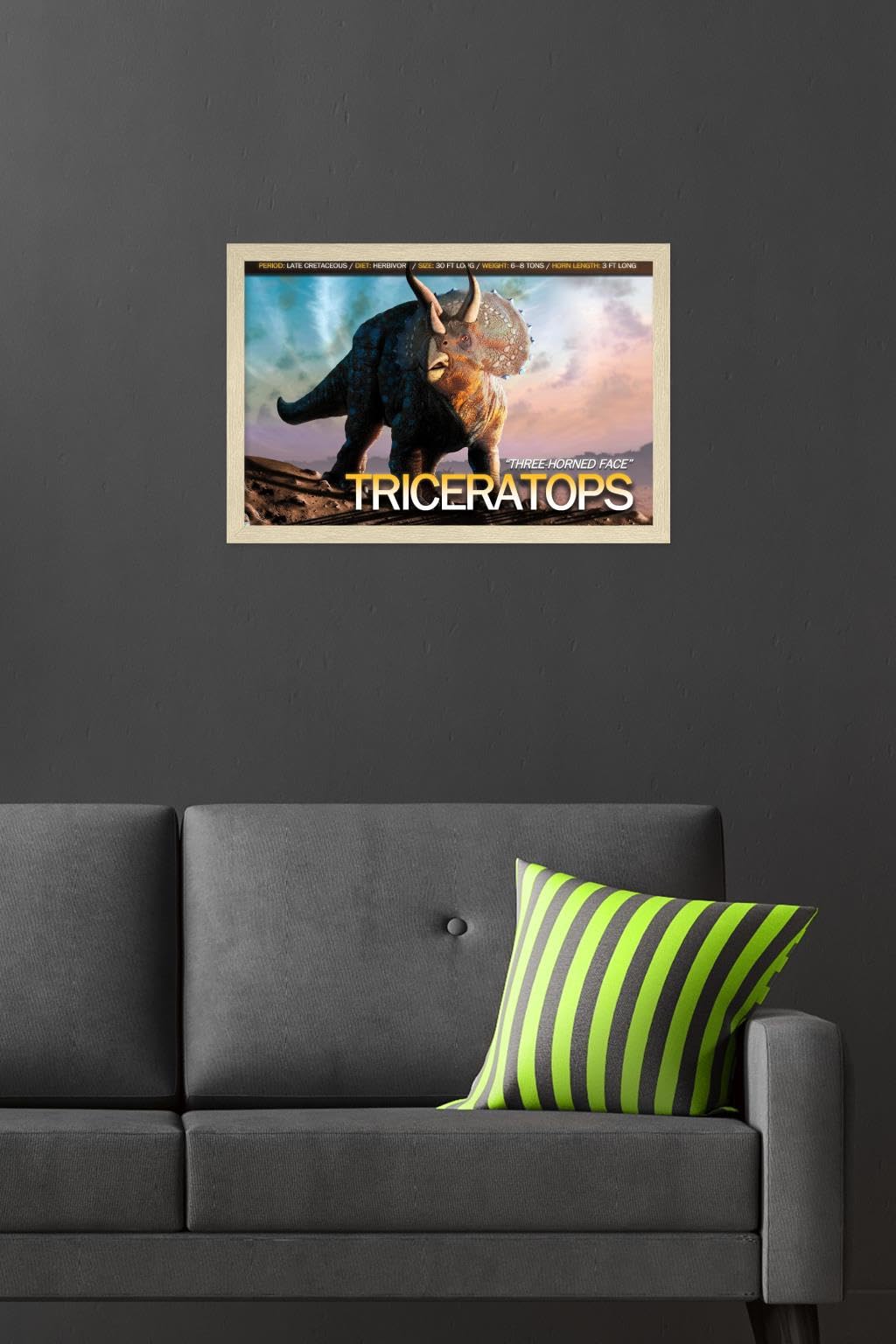 TRICERATOPSトライセラトップス　ライブシネマ記念ポスター　サイン入り Amazon.co.jp: トライセラトップス『TRICERATOPS』1stアルバム広告