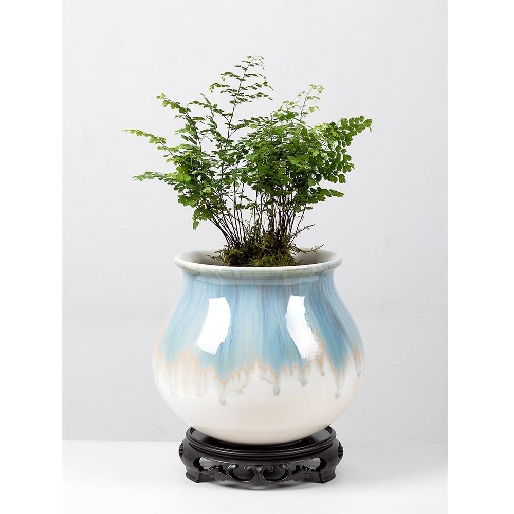 doniczka Spersonalizowane z podstawą, zielona roślina okrągła ceramiczna doniczka, duża orchidea, oddychający sukulent Bonsai, doniczkowa