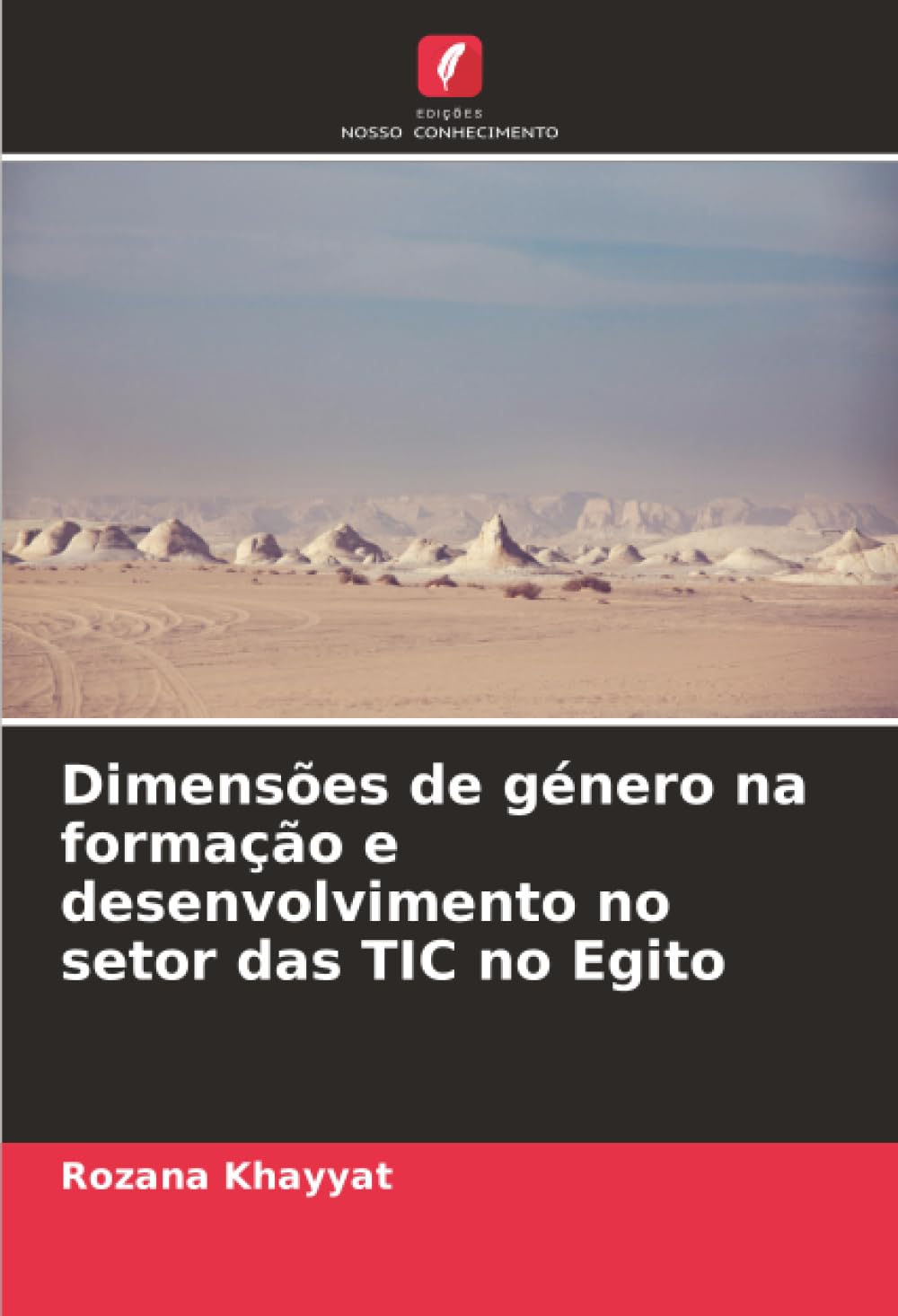 Dimensões de género na formação e desenvolvimento no setor das TIC no Egito