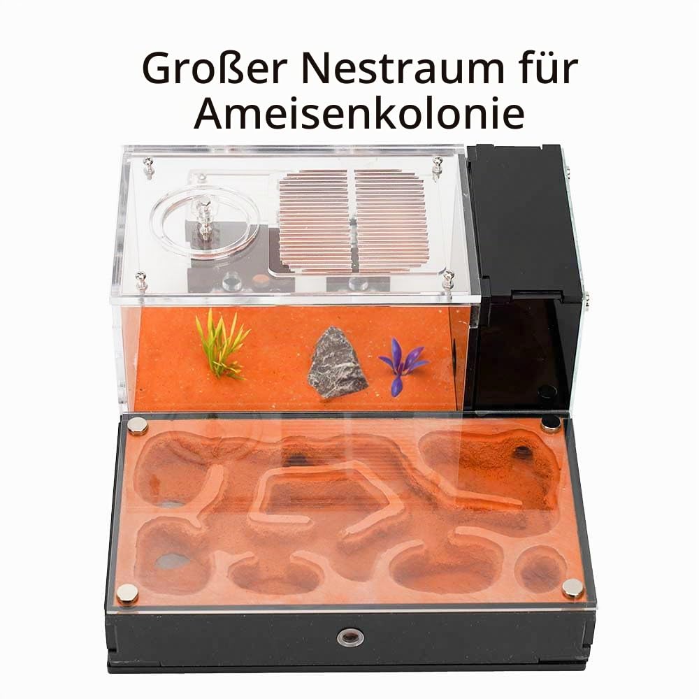 Ameisenfarm für lebende Ameisen - für kleine Ameisen-Klonie - Natürliches Lernspielzeug - Tolles Geschenk