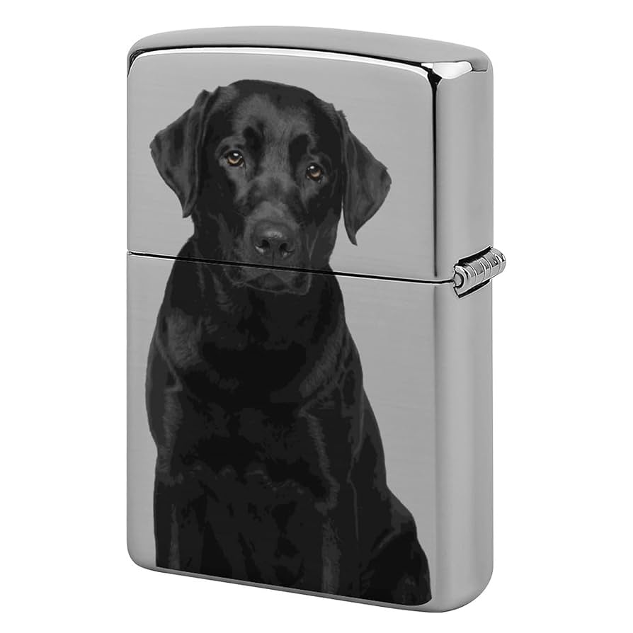 Amazon.co.jp: ラブラドール レトリーバー犬 交換用外側ケース