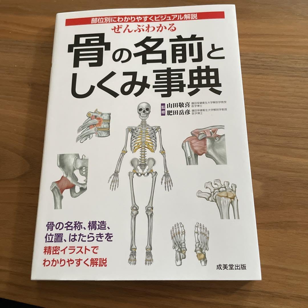 Amazon.co.jp: プロメテウス解剖学骨の名前としくみ筋肉の名前としくみ 