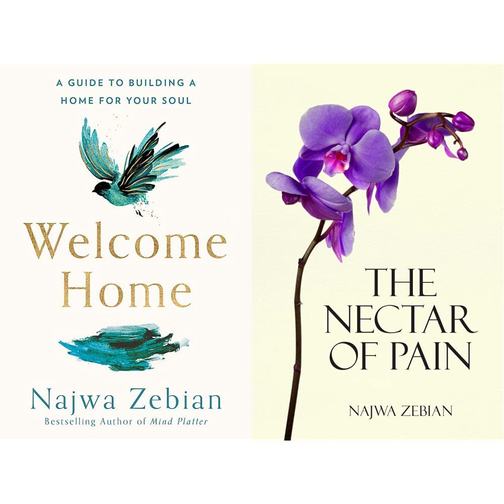 Welcome Home: A Guide to Building a Home For Your Soul + The Nectar of Pain (Set of 2 books)
