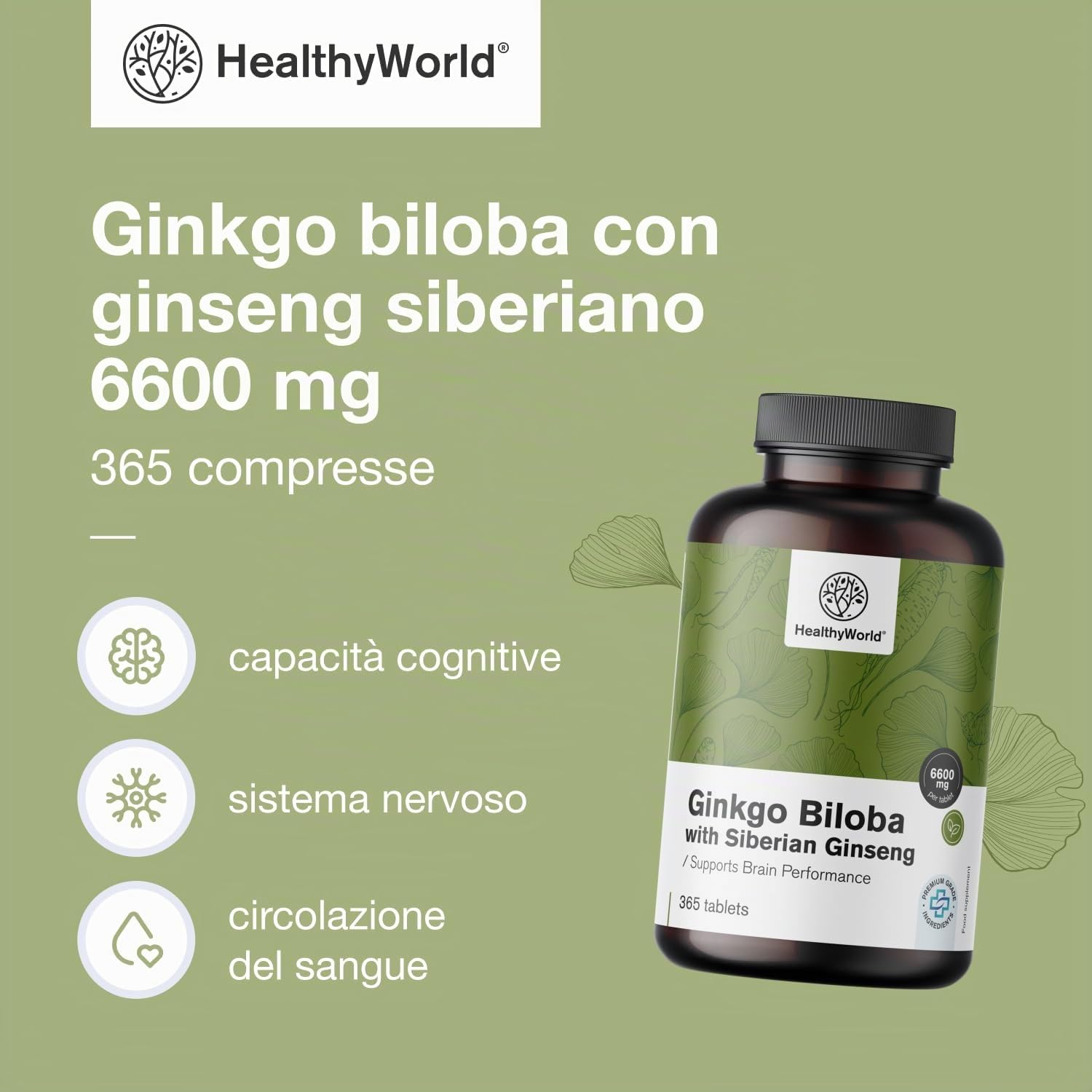 HealthyWorld® Ginkgo Biloba con Ginseng siberiano 6600 mg - Dose elevata, qualità premium - Per funzioni cognitive - 365 compresse per 1 anno di scorta - Estratto di ginkgo 50:1 (120mg) e 10:1 (60mg)