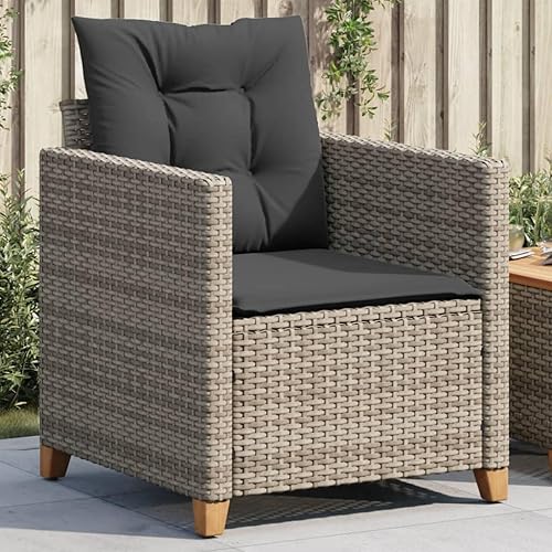 Patio Chair with Cushions Gray Poly Rattan Backyard Chairs Outdoor Chairs Sillas para Comedor Garden Chair for Terrace Picnic Study Beach