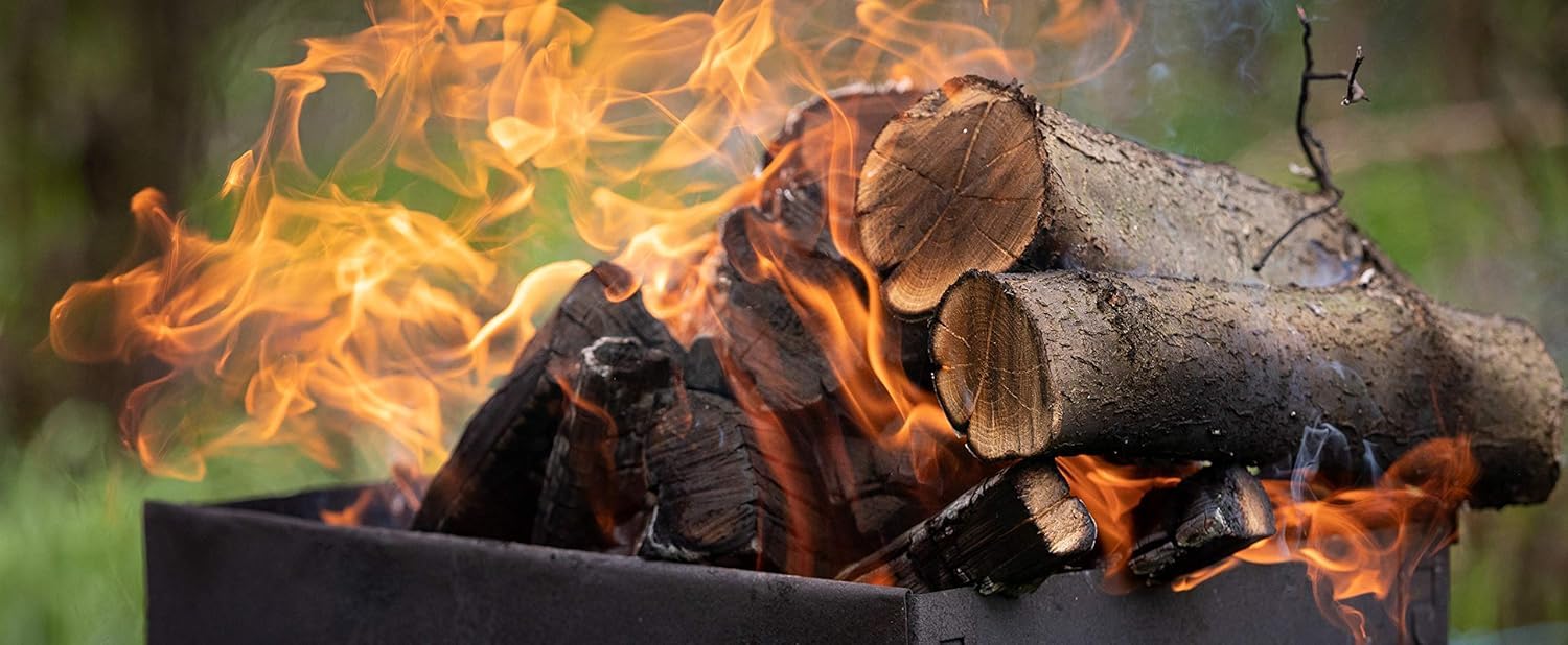 Leña Encina Seca Ecológica Cortada en Troncos Medianos para Barbacoa, Chimenea, Caldera y Estufa, 24Kg