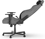 DXRacer Drifting L Ergonomic Video Gaming Chair with Lumbar Support and Headrest, Reclining Computer Gamer Chair for Adults (Water-Resistant Fabric, Light Grey)