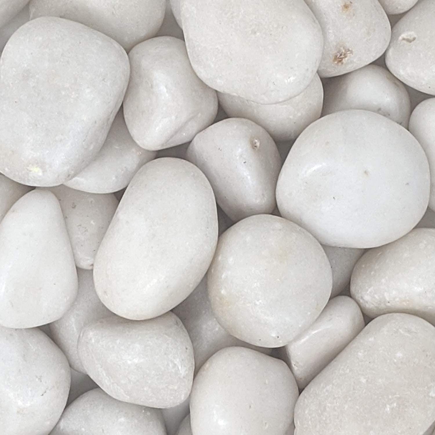 See full amazon price history chart for Rameshwaram Marble Natural Decorative Polished White Stones 1" to 2" Size (3Kg Bag) White Decorative Pebbles -for Gardens, Vase Filler, Aquariums and Water Features Rameshwaram Marble Natural Decorative Polished White Stones 1" to 2" Size (3Kg Bag) White Decorative Pebbles -for Gardens, Vase Filler, Aquariums and Water Features (B081RB5LM4) Amazon Price History, Amazon Price Tracker