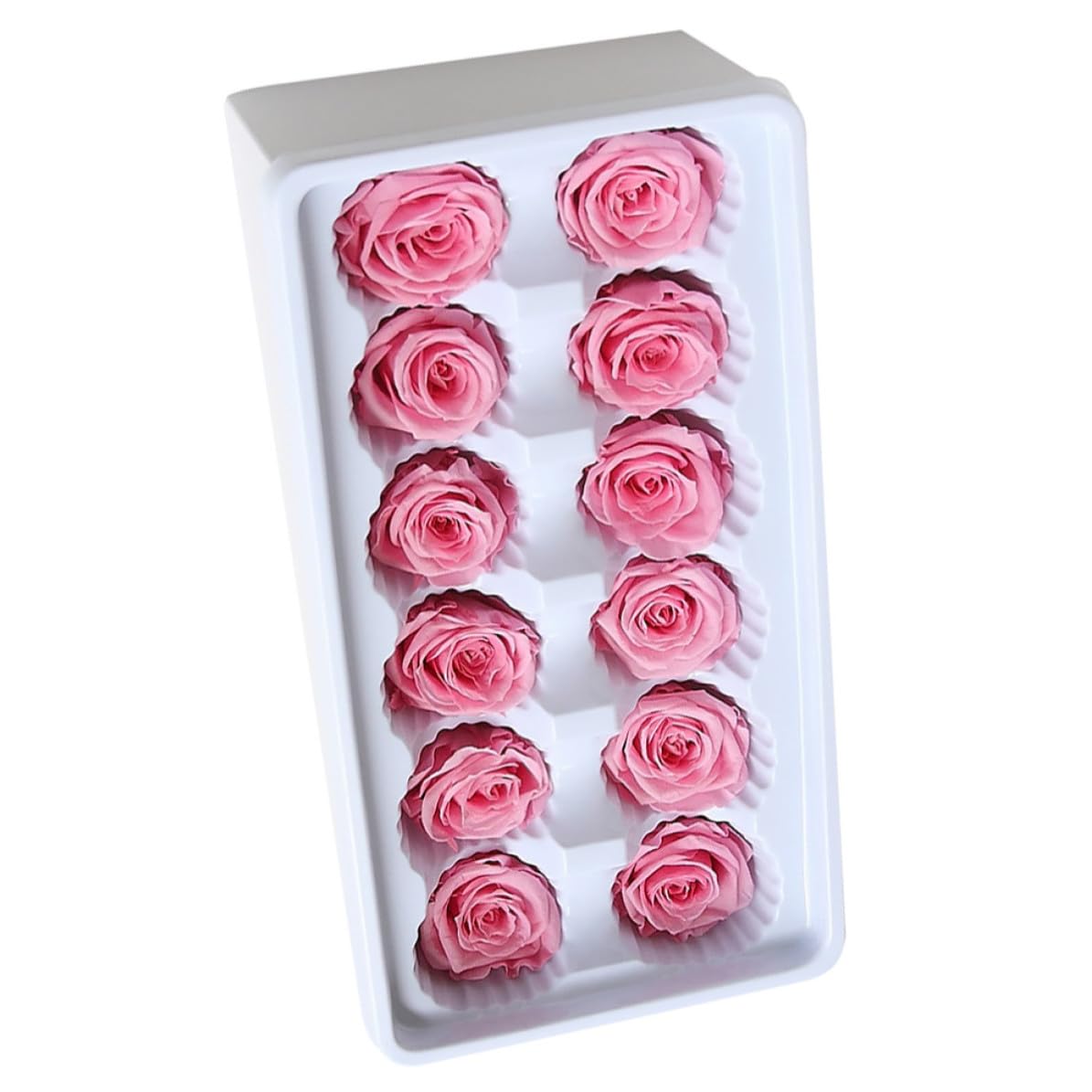 Flores preservadas duraderas para ramos y eventos, pack de 12 rosas decorativas naturales
