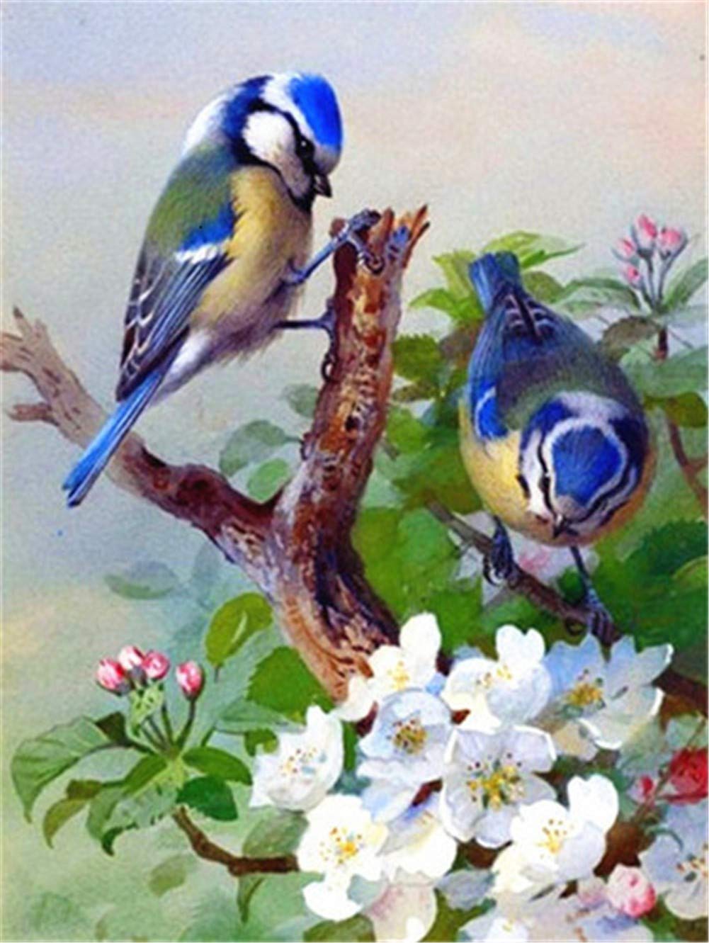 DIY 5D Diamante Pintura Bordado Kits Completo Pájaro flor blanca Diamond Painting Adultos/Niños Rhinestone Punto de Cruz Diamante Arte Artesanía Casa Decor de La Pared Round Drill,70x90cm/28x36inch