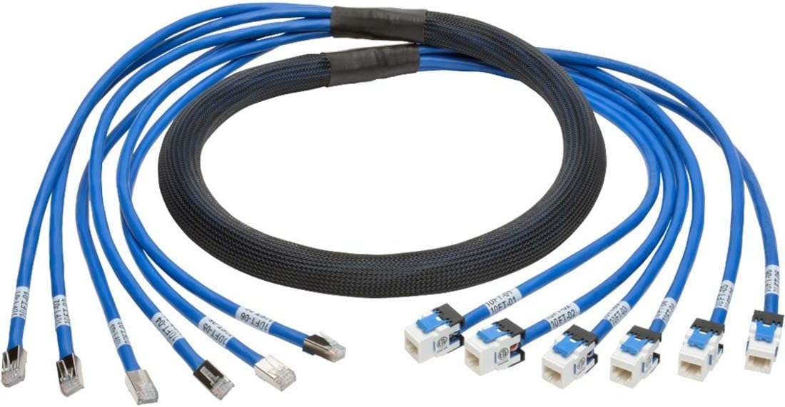 Tripp Lite Augmented Cat6/Cat6a Pre-Terminated Copper Trunk Bundle, (6x) RJ45 (M/F), 10 ft. (N261-010-6MF-BL)