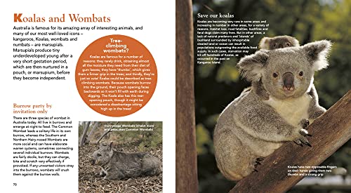 Encyclopedia Of Australian Animals