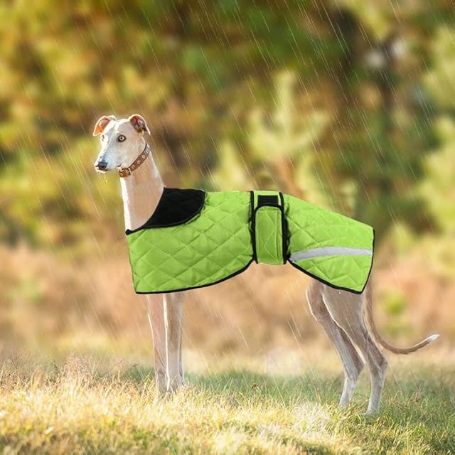 Greyhound Winter Coat, Dog Jacket Waterproof, Whippet Coat Dog Raincoat, Waterproof Dog Coats, Dog Jumper Jacket for Medium, Large Lurcher Salukis Greyhound Dog in the Rainy Season or Winter - Green