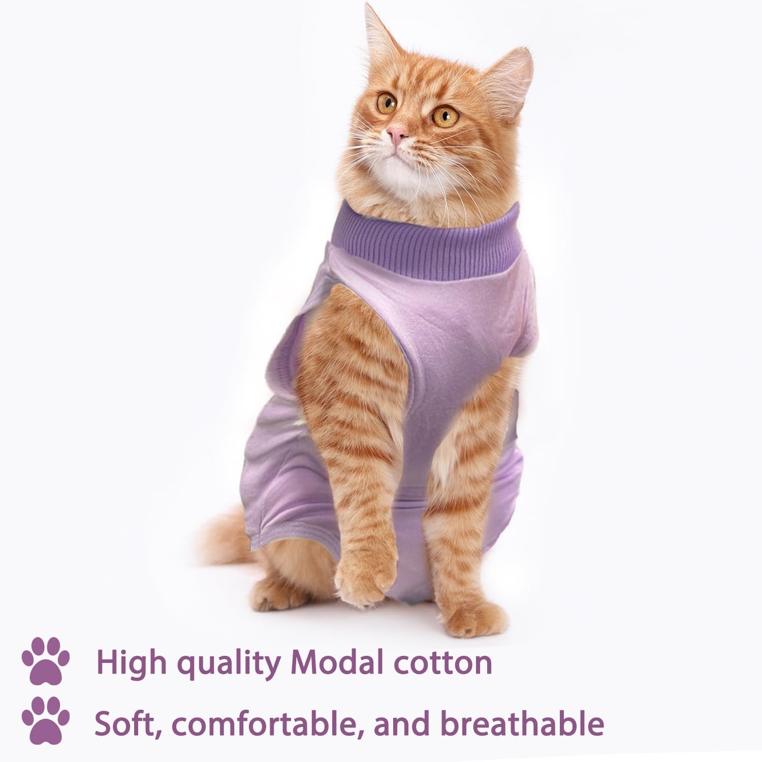 RUGBOL Cat Recovery Suit - Image 3