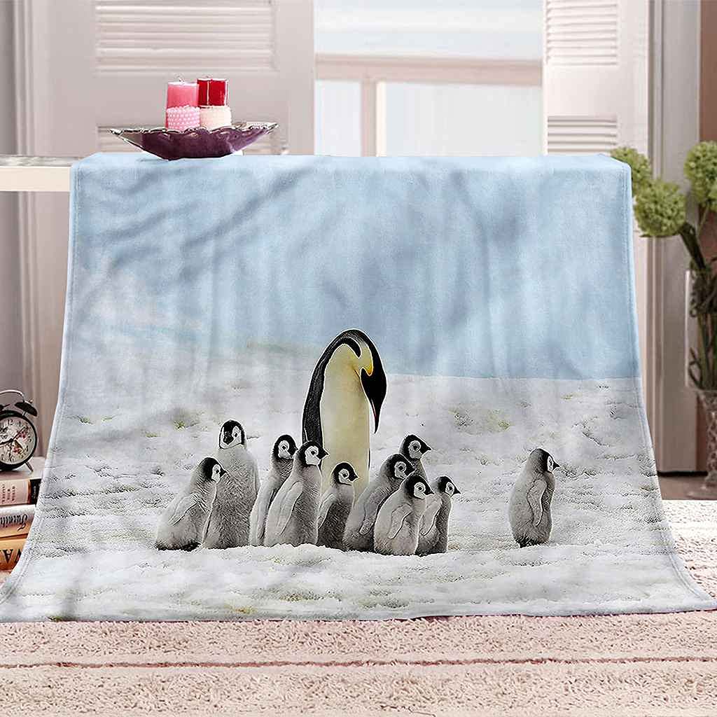 Couverture en flanelle 3D pour canapé de chambre plaid chaud d'hiver artistique