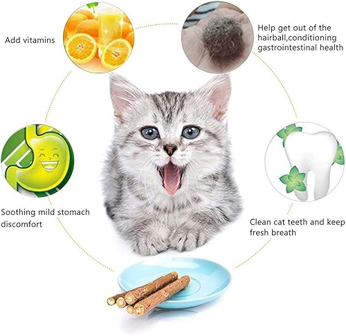 Miniatura 9 de WoLover Palitos de hierba gatera natural Matatabi SilverVine - Herramientas molares de limpieza de dientes, juguete masticable de hierba gatera