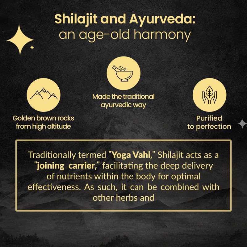 Zingavita Original Shilajit/Shilajeet Resin 20g | Boost Performance, Power, Stamina, Strength | Pack of 1