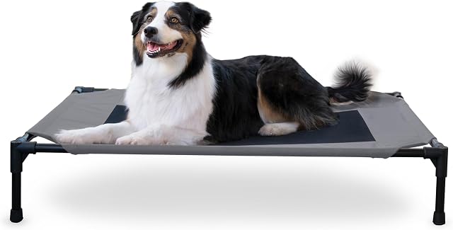 K&H Pet Products Outdoor Elevated Dog Cot, Refroidissement Respirant Lit d'animaux pour grands chiens, Couverture en maille lavable, Cadre en métal relevé, Collapsible, Portable - grand 42 X 30in gris