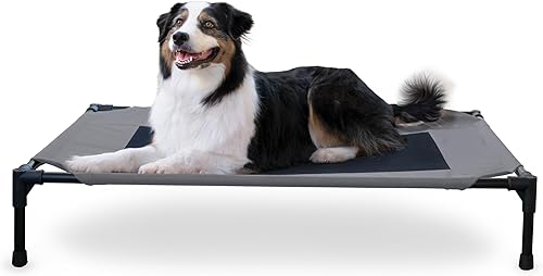 K&H Pet Products Outdoor Elevated Dog Cot, Breathable Cooling Elevated Cot Hammock Pet Bed for Large Dogs, Washable Mesh Cover, Raised Metal Frame, Collapsible, Portable - Large 42 X 30in Gray