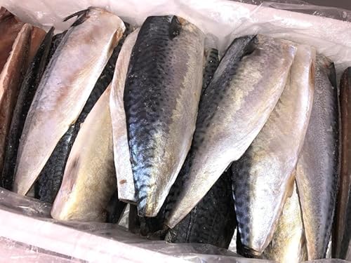 Y Y To2kg (10-25)Ⓚ