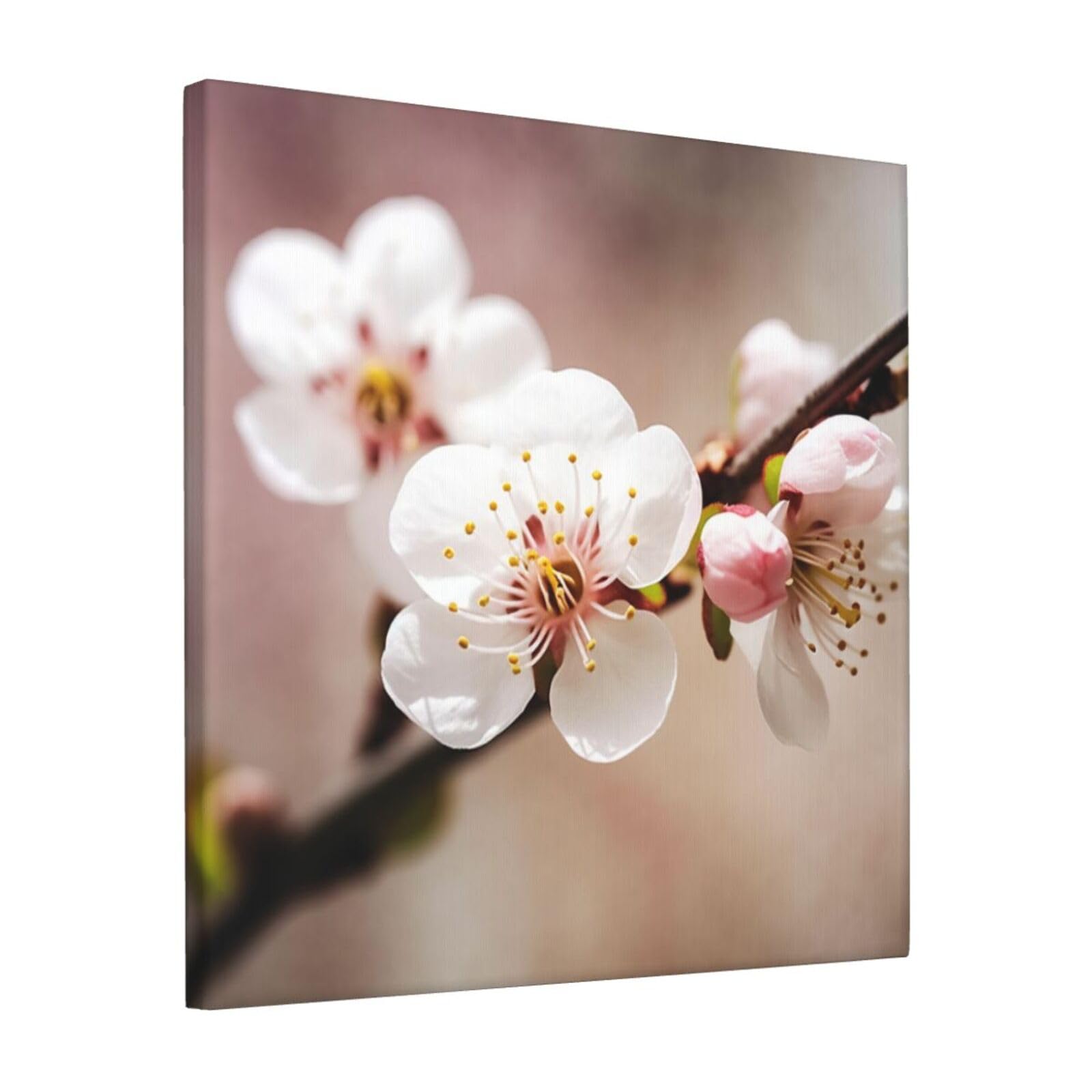 KLOPH Cherry Blossom Canvas Wall Art for Living Room 12"x12" Modern Artwork Painting for Bathroom Hanging Canvas Prints Aesthetic Wallart for Bedroom Kitchen Office Wall Decor