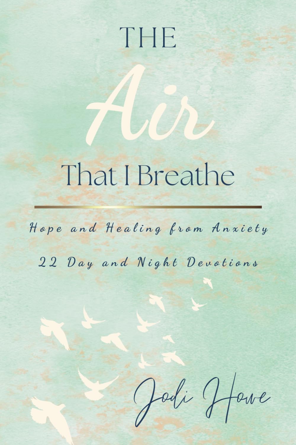 The Air That I Breathe: Hope And Healing From Anxiety 22 Day and Night Devotions