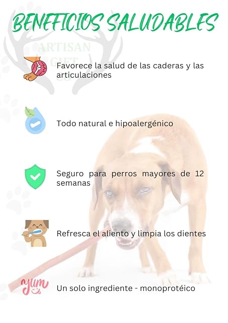 Foto 3 de 8 de Nervio de Toro para Perros, Long. Aprox 30 cm - Pack 2 unds