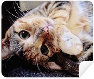 Stripes Kitty Cat Relax Animal Adorable Cleaning Cloth Screen Cleaner 2pcs Suede Fabric