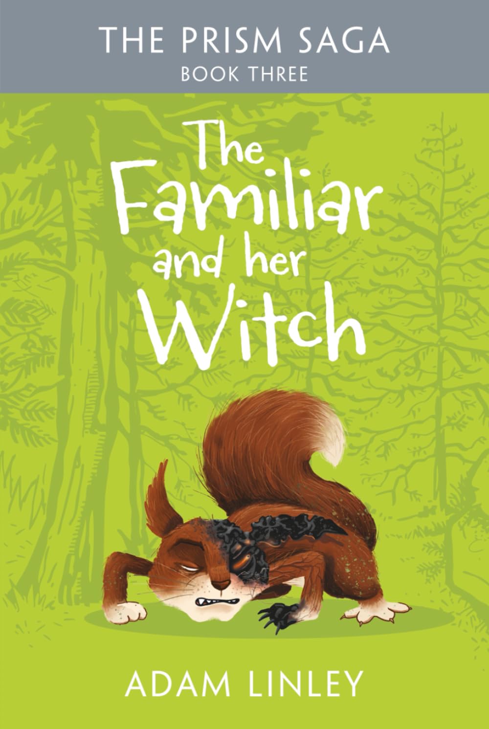The Familiar And Her Witch: The Prism Saga Book Three