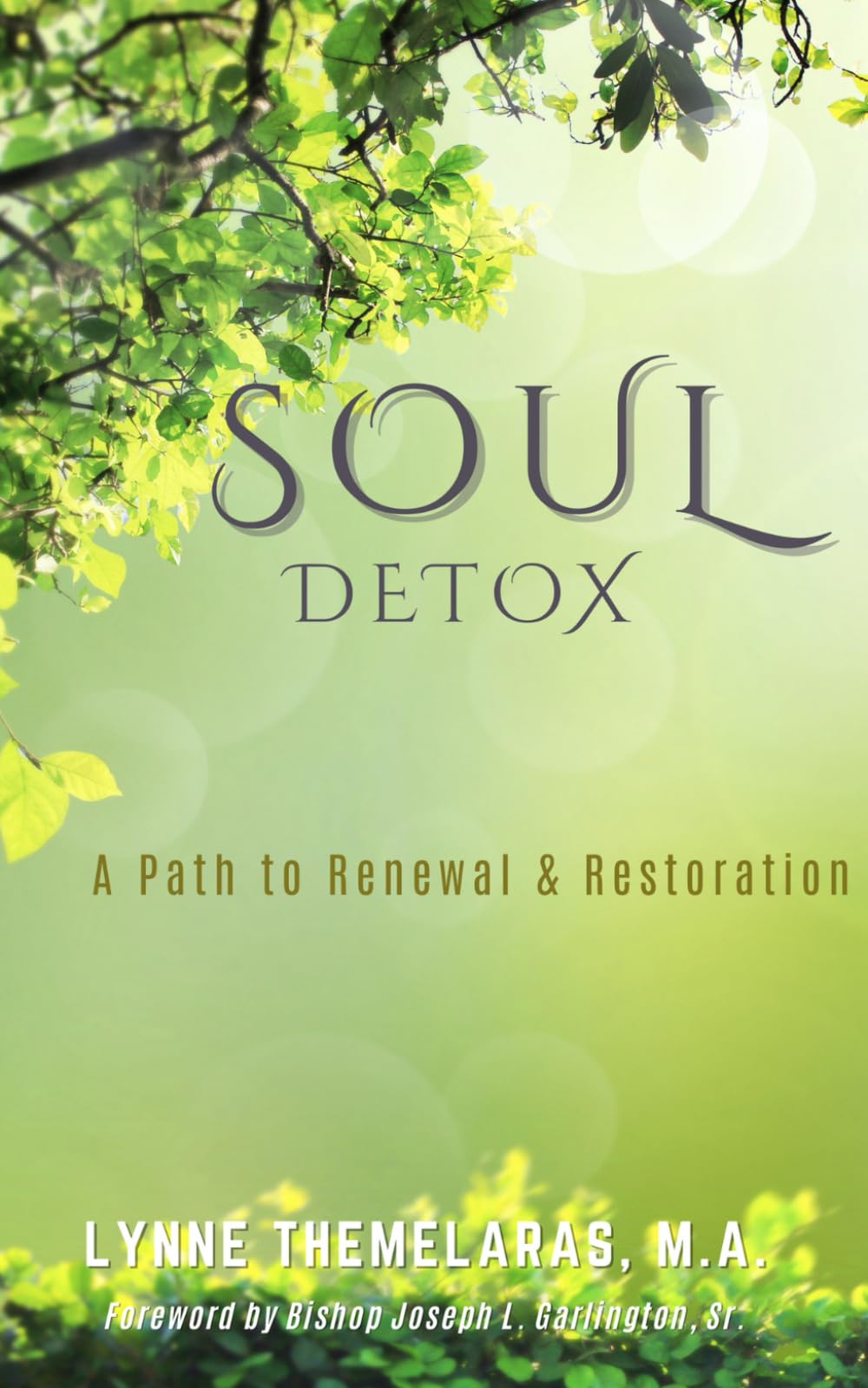 Soul Detox: A Path to Renewal & Restoration