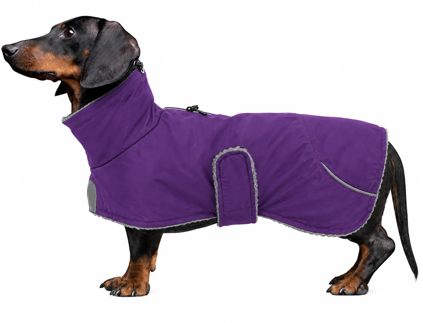 Morezi Dachshund Coats Waterproof, Perfect for Dachshunds, Sausage, Weiner Dog Winter Coat with Padded Fleece, Puppy Snowsuit with Adjustable Bands and High Vis Reflective Trim-Purple-M