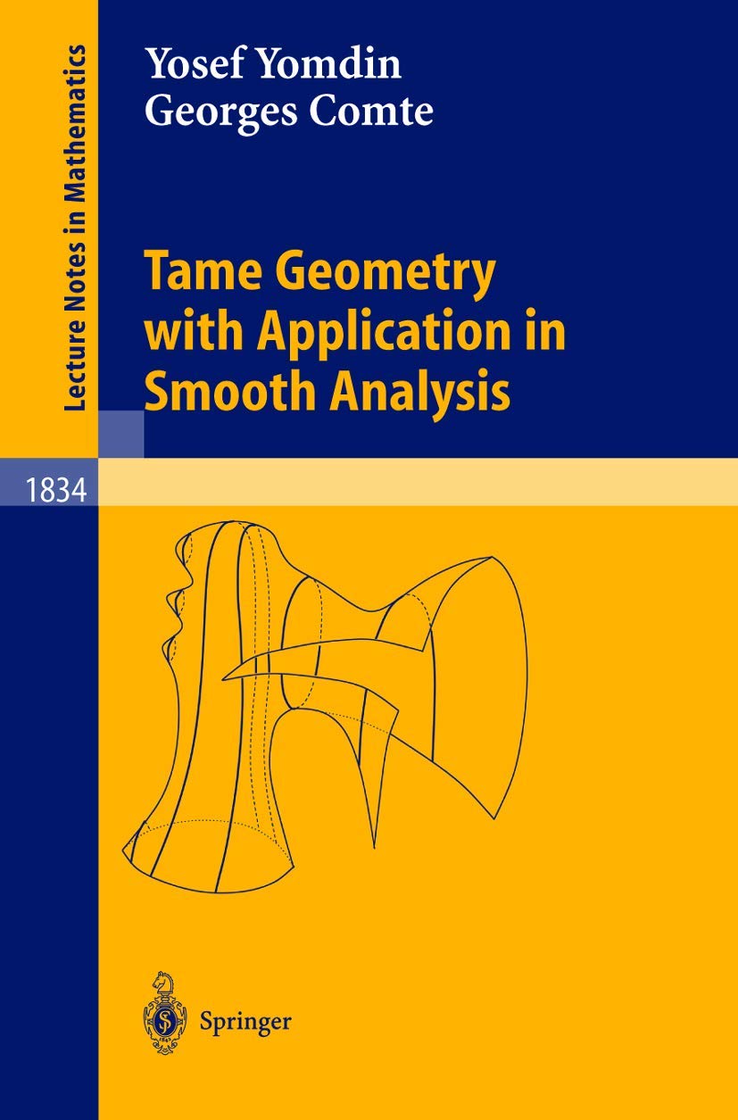 Tame Geometry with Application in Smooth Analysis: 1834 (Lecture Notes in Mathematics, 1834)