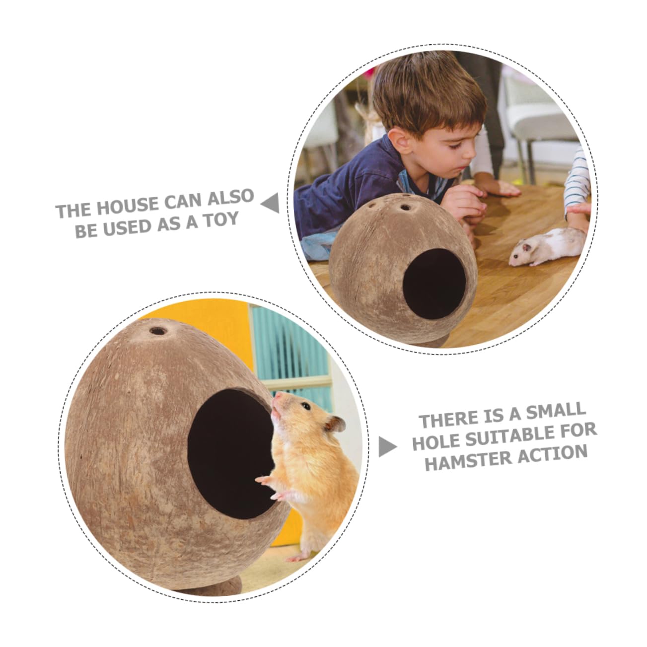 Ciieeo 4stücke Kokosnussschalen Hamsterversteck Natürliches Sicheres Versteck Für Meerschweinchen Und Kleine Nagetiere Spielen Und Entspannen