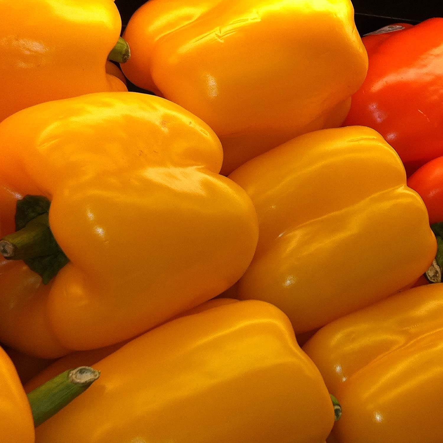 Biocarve Seeds Capsicum Yellow Seeds- Pack of 30 seeds (B09NYBYX5T) Amazon Price History, Amazon Price Tracker