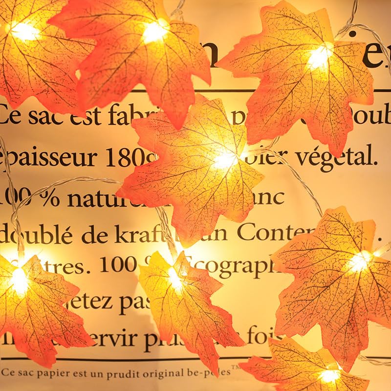 Guirlande lumineuse LED feuille d'érable citrouille 6 mètres 40 lampes USB Halloween Noël
