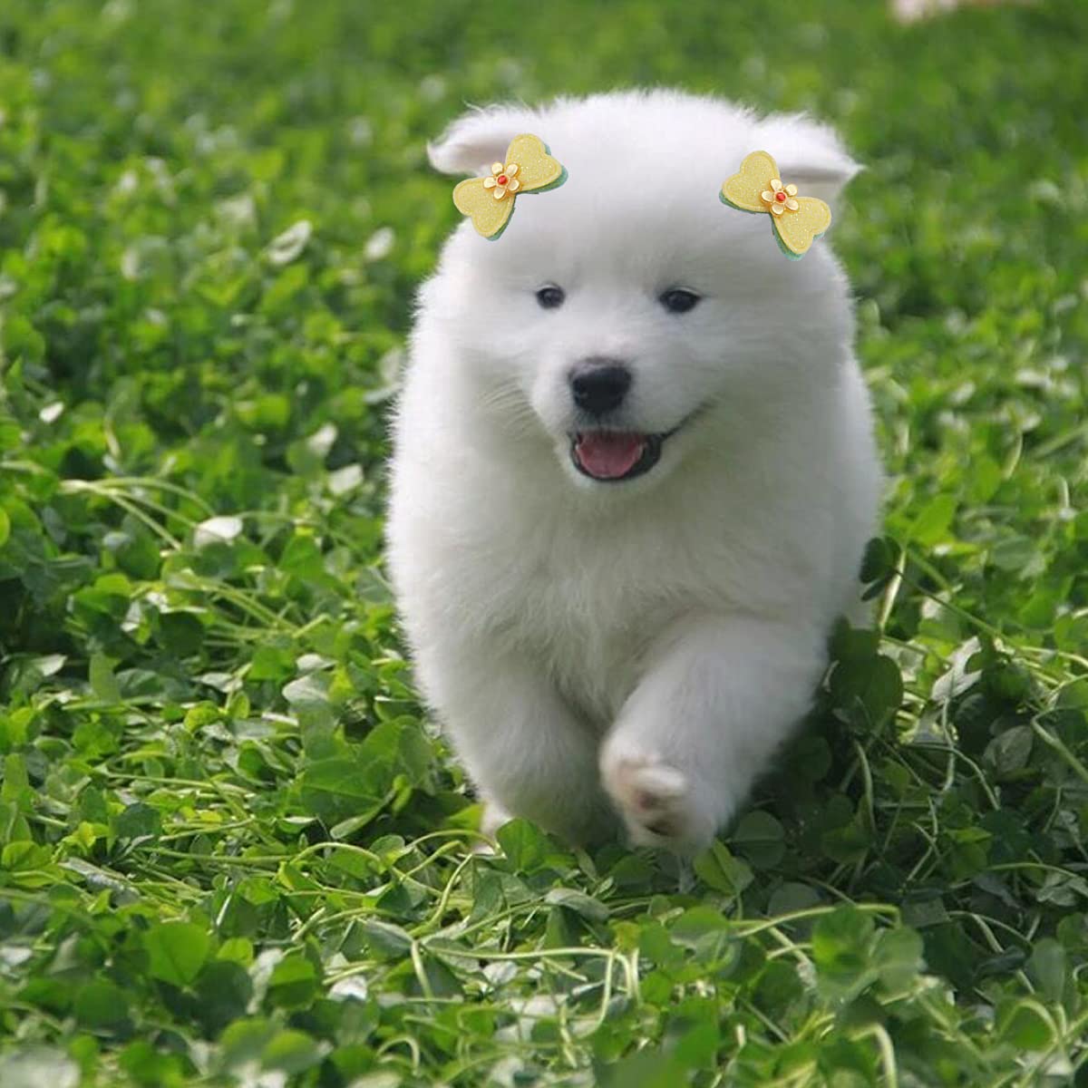 Amazon | FZBNSRKO 40個 犬の頭 フラワーボウジュエリー ペット