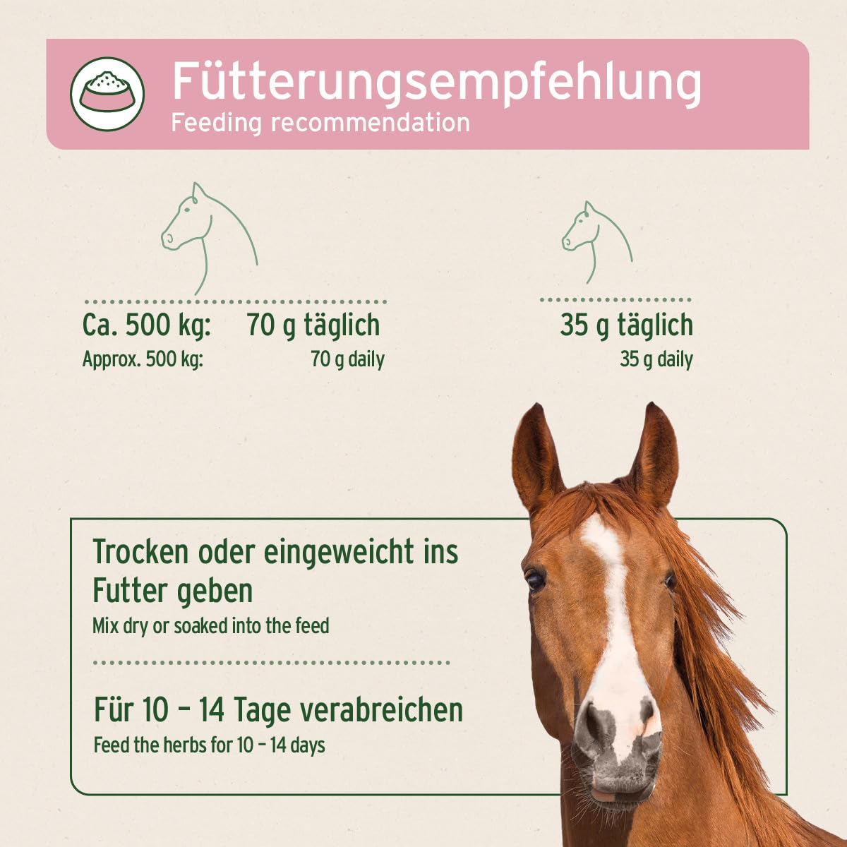 AniForte Bronchialkräuter Pferd 1kg - Bei Husten & Schnupfen, Atemwegskräuter Pferd als Ergänzungsfutter, Pferde Hustenkräuter für freie Atemwege, natürliche Kräuter mit Methylcystein