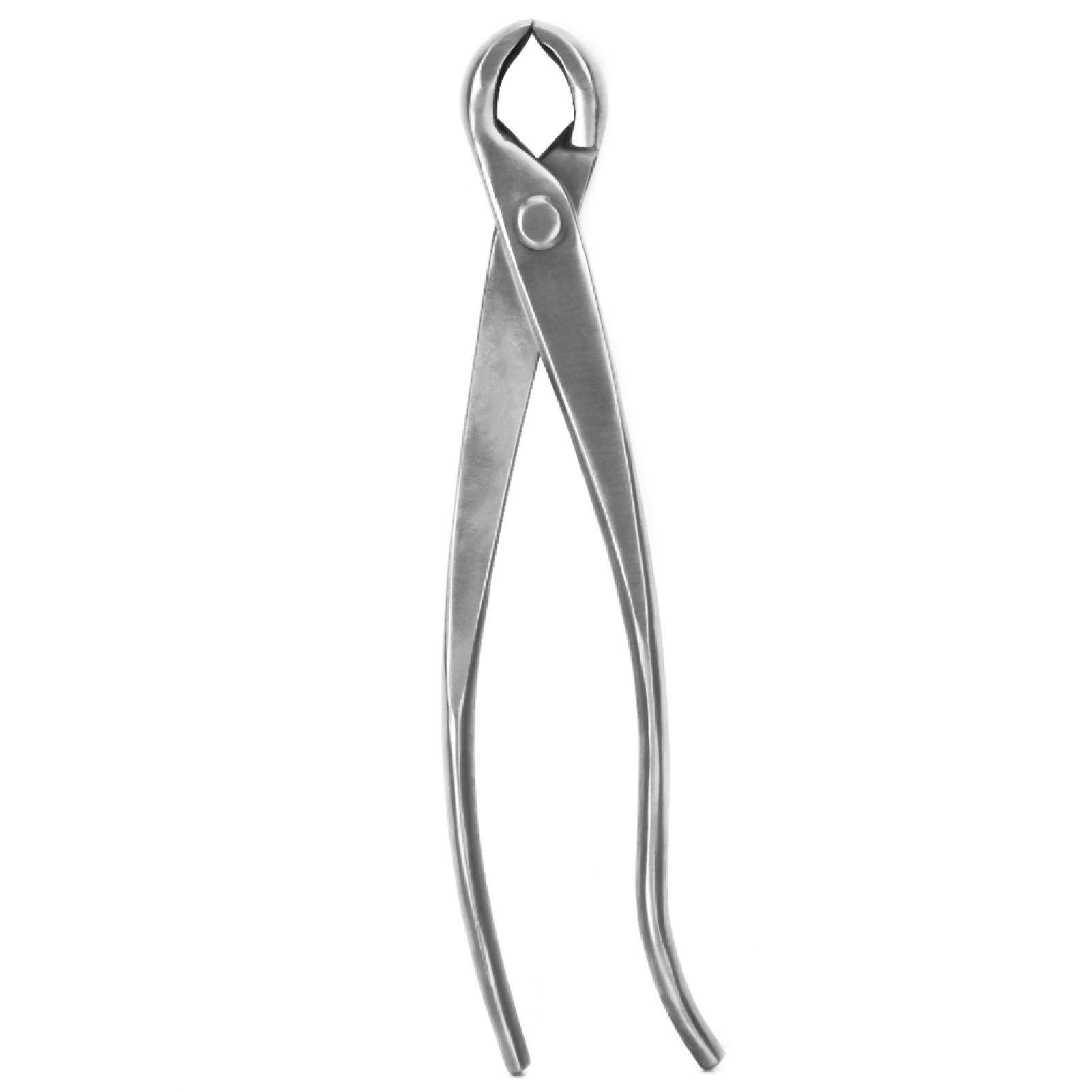 Taglierina per Rami, taglierina a manopola in Acciaio Inossidabile Taglierina per Bonsai Taglierina concava Strumento da Giardinaggio 210mm