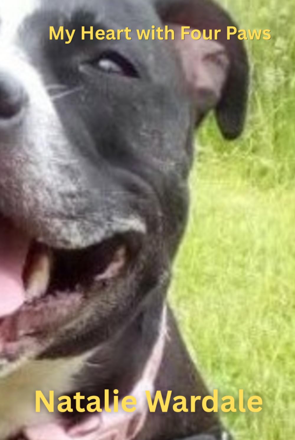 My Heart with Four Paws