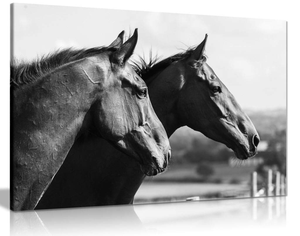 Panther Print Turquoise Abstract Painting Two Black & White Horses Canvas Wall Art Picture Print (24X16)