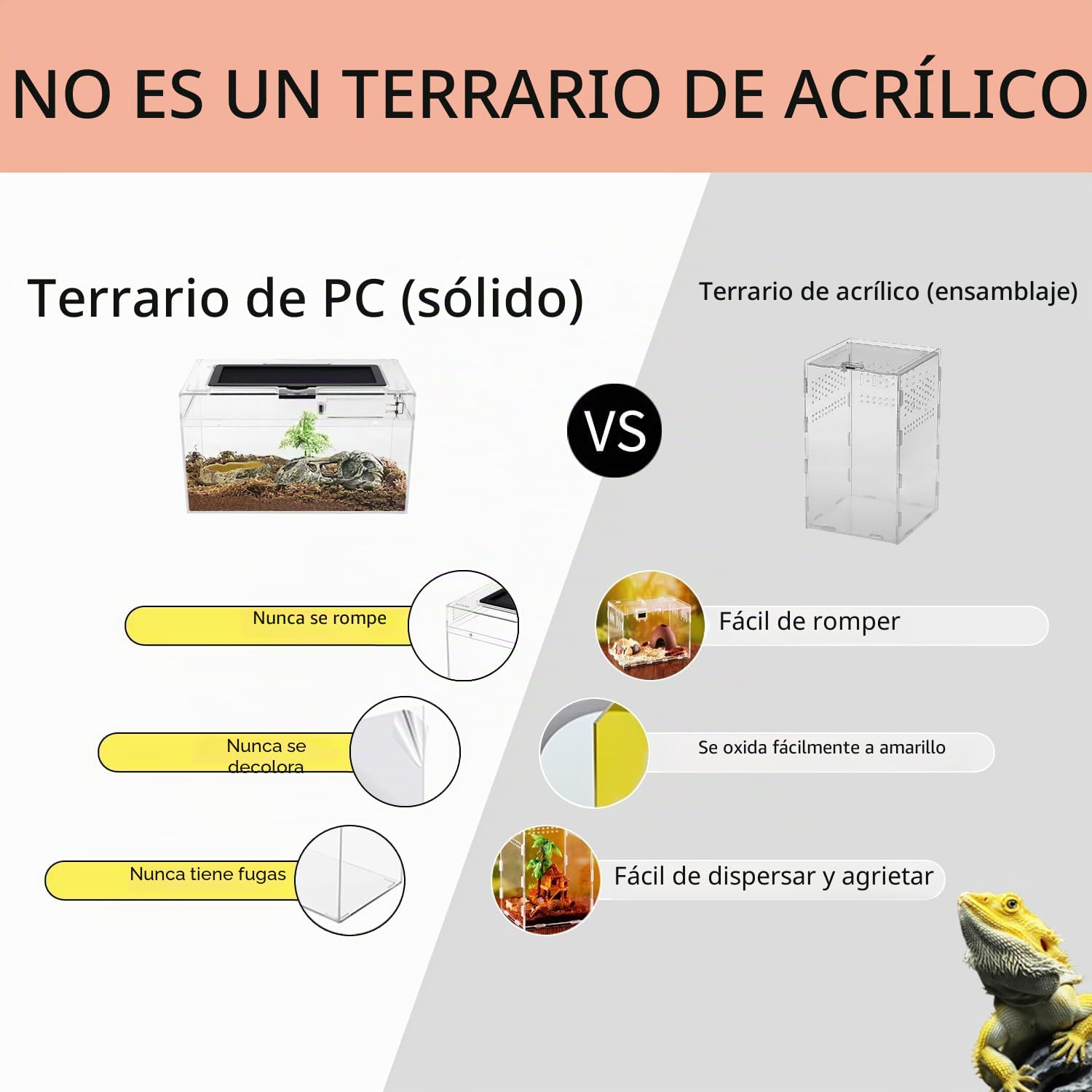 Reptile Growth PC Terrario combinación, 12" x 7"x 6" PC terrario Reptiles, PC terrarios para Reptiles para Leopardo Gecko dragón Barbudo Lagarto Caracol Palo Insecto tarántula Gecko Serpiente