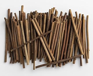 Twigs for Crafting – 100 Natural Wooden Sticks for Fairy Houses, DIY P...