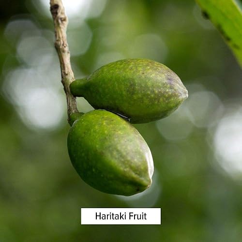 Miniatura 4 de Polvo Haritaki orgánico USDA, terminalia chebula, desintoxicación y rejuvenecimiento, de la marca Banyan Botanicals, No Model, 1