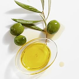 Garnier Whole Blends Replenishing Conditioner Legendary Olive, Dry Hair, 12.5 fl. oz.